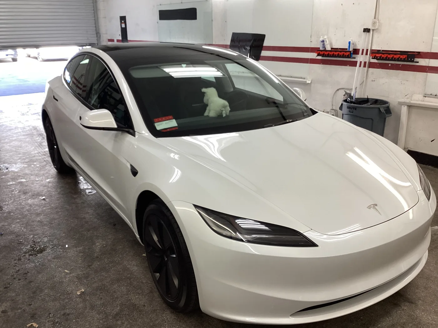White Tesla with tinted windows outside Superior’s Ontario shop